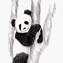 Image result for Giant Panda Sketch