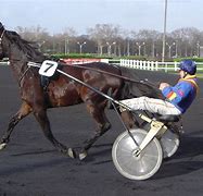 Image result for Harness Horse Racing