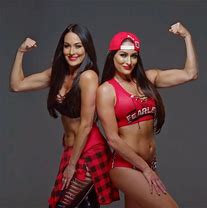 Image result for WWE Nikki Bella Love