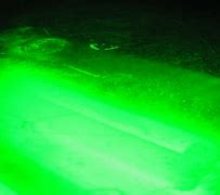 Image result for Neon Green PFP