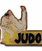 Image result for Judo Throws and Pins