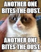 Image result for Another One Bites the Dust Cat Meme