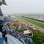 Image result for Dubai World Cup Horse Race