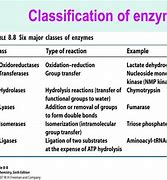 Image result for Classes of Enzymes