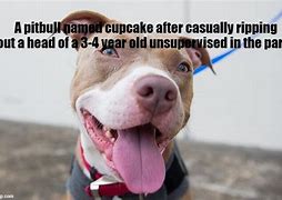 Image result for Cupcake Pitbull Incident