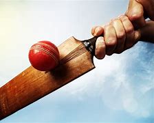 Image result for Cricket Hit