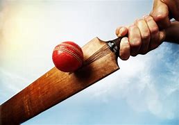 Image result for 4K Cricket Photo Shot