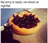 Image result for Black Cat Meme Cringe
