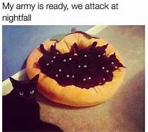 Image result for Weird Black Cat with Arms Meme