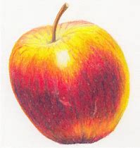 Image result for Purple Apple Drawing