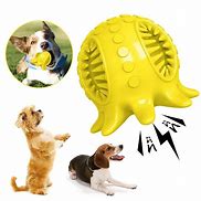Image result for Small Dog and Chew Toy