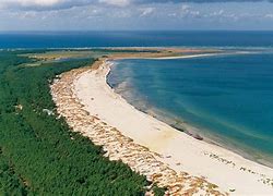 Image result for co_to_znaczy_zingst