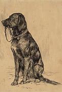 Image result for Sad Dog Drawing