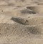 Image result for Granual Sand Texture HD Image