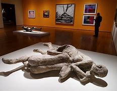 Image result for Pompeii Dead Couple Kissing