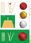 Image result for Cricket Objects
