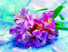 Image result for Floral Wallpaper JPEG Images