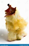 Image result for Eaten Apple Core