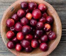 Image result for Purple Cherry Plum Fruit