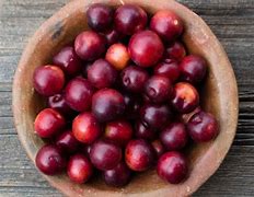 Image result for Plum