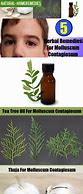 Image result for Natural Remedy for Molluscum