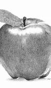 Image result for Apple Line Drawing