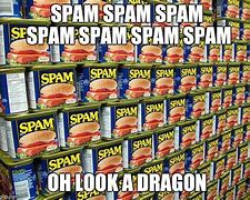 Image result for Spam MEME Funny