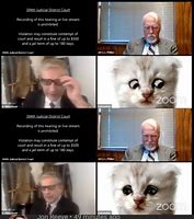 Image result for Lawyer Cat Meme