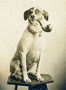 Image result for 1800s Dog Drawing