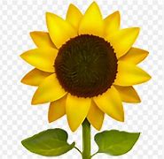 Image result for iPhone Flower Emoji