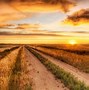 Image result for Desktop Wallpaper Country Scenes