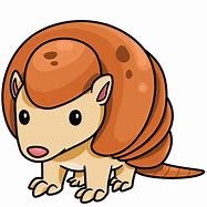 Image result for Drawing of Armadillo Clip Art