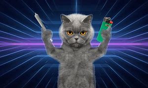 Image result for Cat Weed 420
