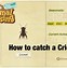 Image result for Types of Crickets