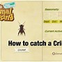 Image result for Cricket Animal Cut Out