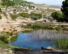 Image result for charcas