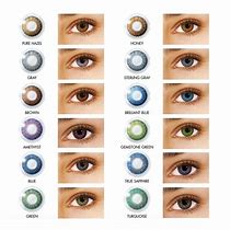 Image result for Monthly Contact Lens Brands