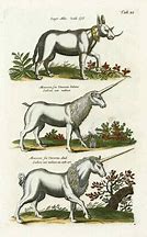 Image result for Different Kinds of Unicorns