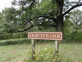 Image result for Arbutus MD