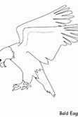 Image result for Eagle Face Coloring Page