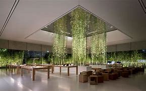Image result for Apple Store Design Ideas