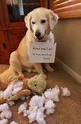 Image result for Christmas Funny Wild Animal Memes