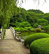 Image result for japanese gardens