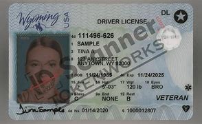 Image result for Daniel Wyoming Drivers License