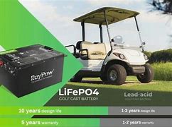 Image result for Roypow LiFePO4 Golf Cart Battery 48V