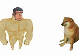 Image result for Chad Dog Meme Template