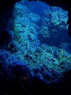 Image result for Rocks Underwater Wallpaper
