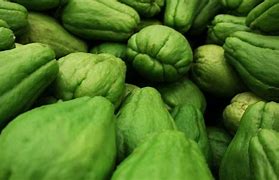 Image result for Squash Vegetable in Hindi