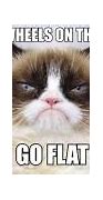 Image result for Tard the Grumpy Cat Meme