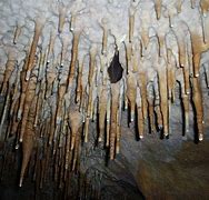 Image result for Arizona Caves